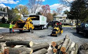 Best Hazardous Tree Removal  in Bishop, CA